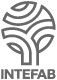 Intefab